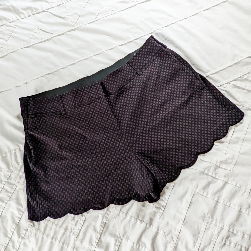 Scalloped-Hem Lane Bryant Shorts